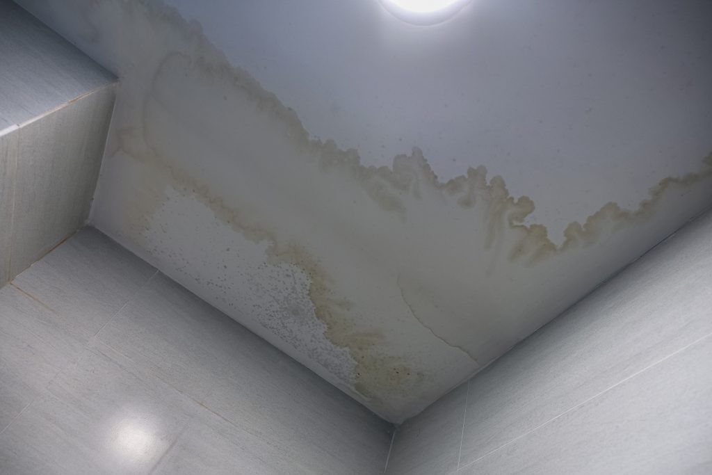 Une image d'une fuite de plafond, conduisant les propriétaires à se demander comment empêcher la moisissure après la fuite de plafond